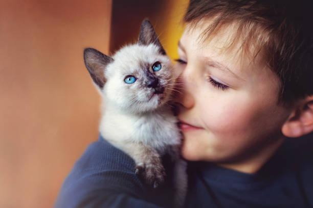 Petit garçon qui fait un câlin à son chaton