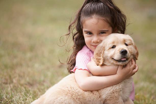 Petite fille qui fait un câlin à un labrador chiot